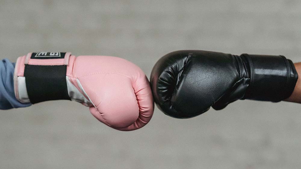 Bokshandschoenen Tegen Elkaar