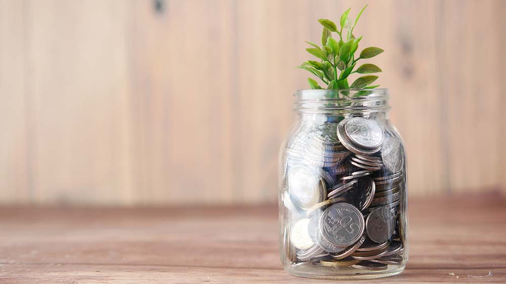 Potje Met Geld En Plant Groei